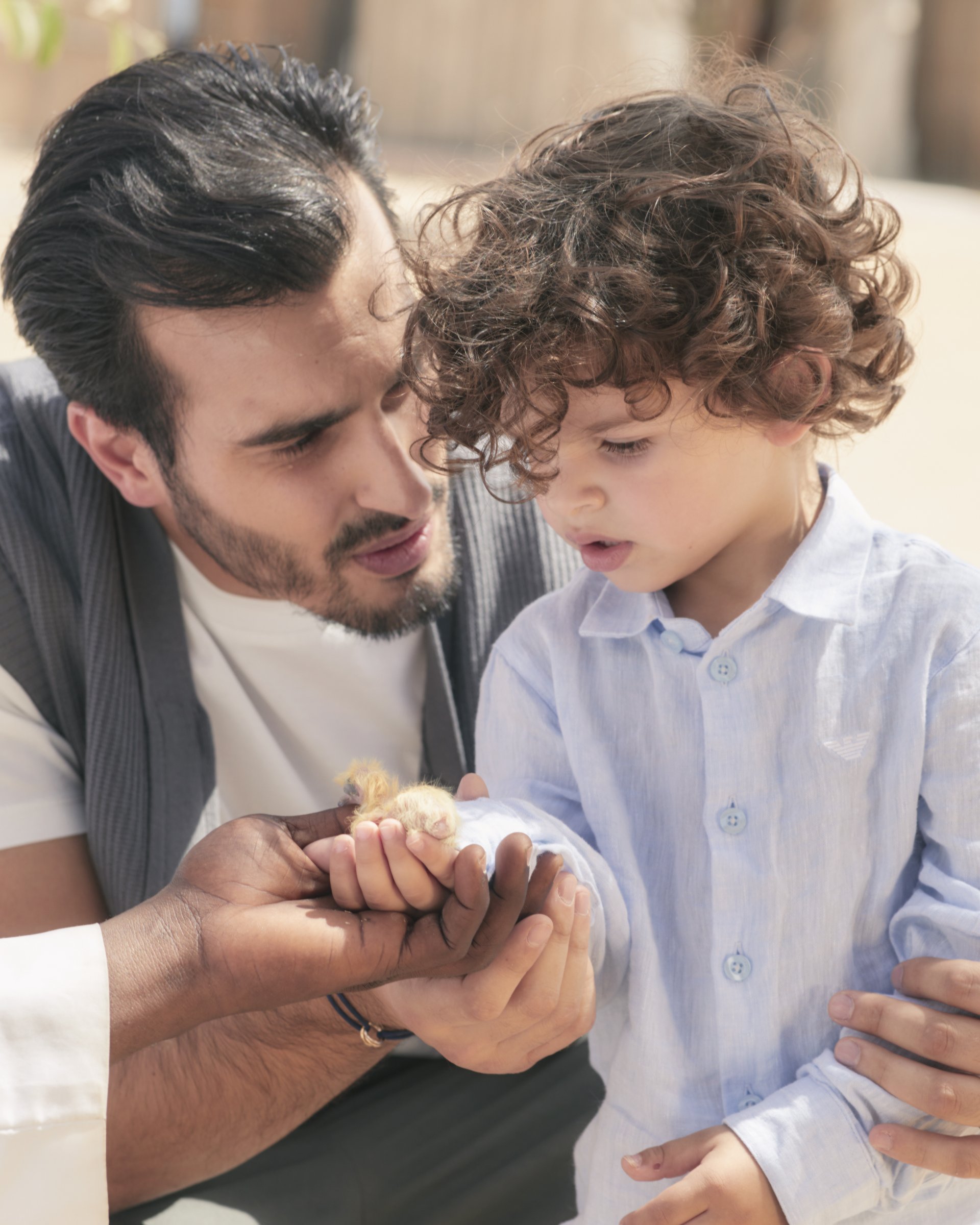 Ali showing Aboudi a small chick cupped in his hands —
      Emporio Armani campaign by Ali & Walaa, April 2024